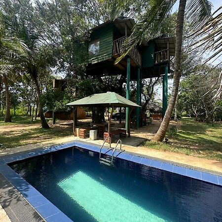 فندق Yala Eco Tree House New تيساماهاراما المظهر الخارجي الصورة