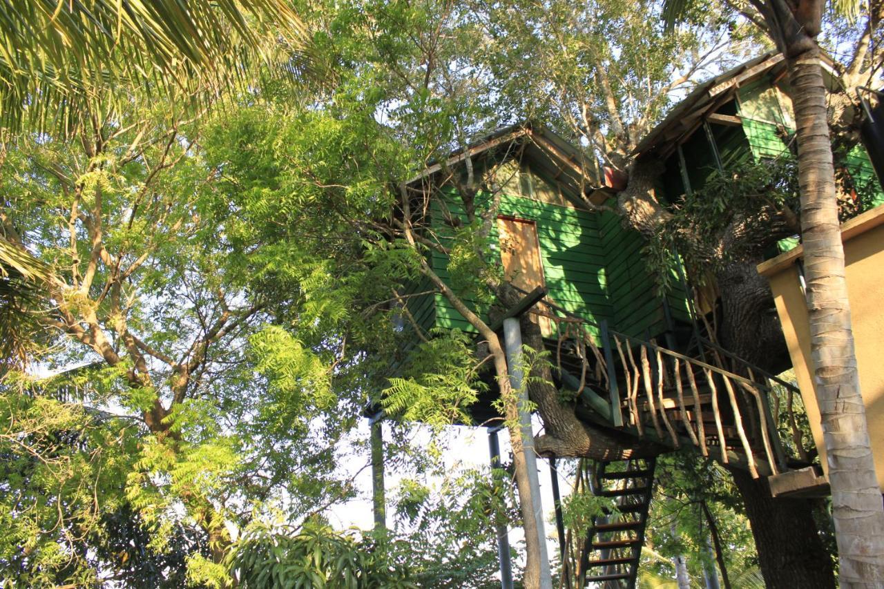 فندق Yala Eco Tree House New تيساماهاراما المظهر الخارجي الصورة