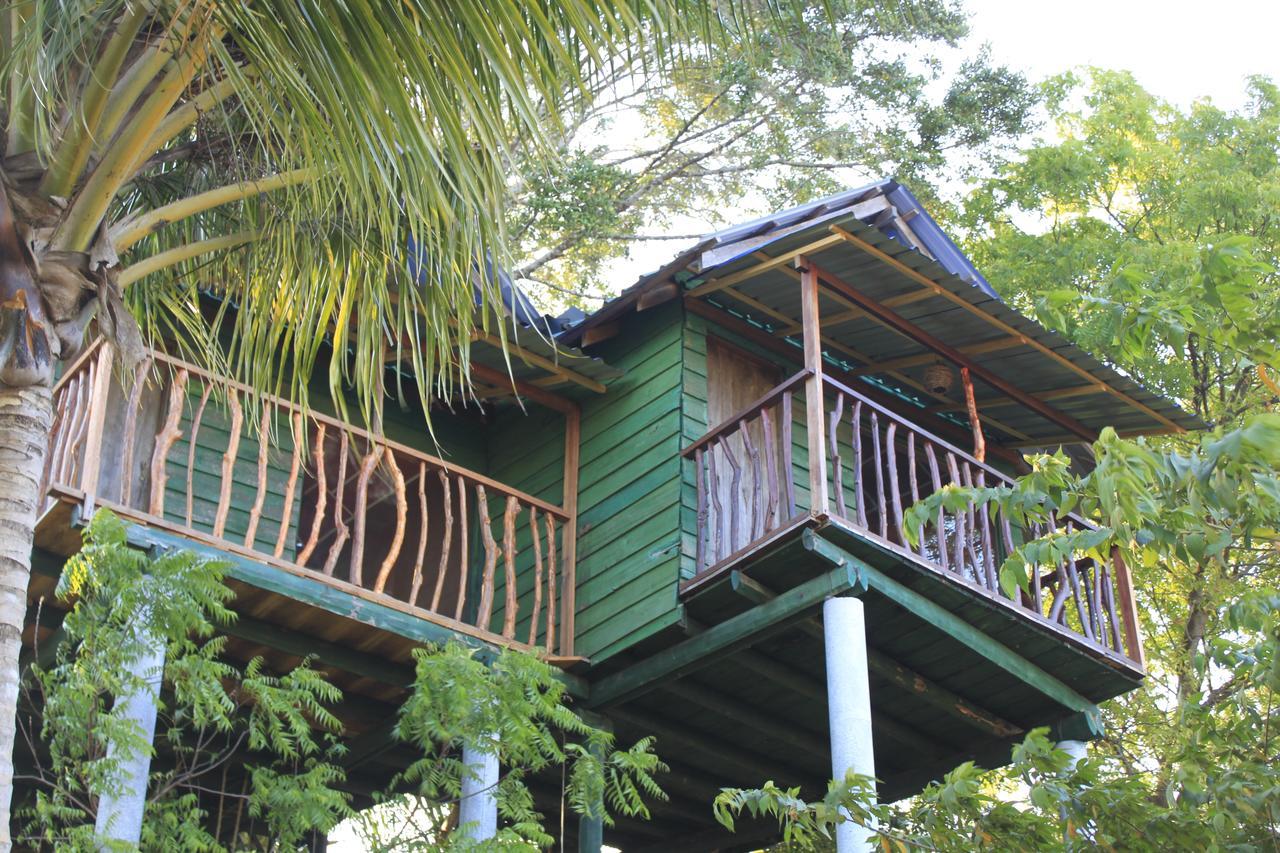 فندق Yala Eco Tree House New تيساماهاراما المظهر الخارجي الصورة