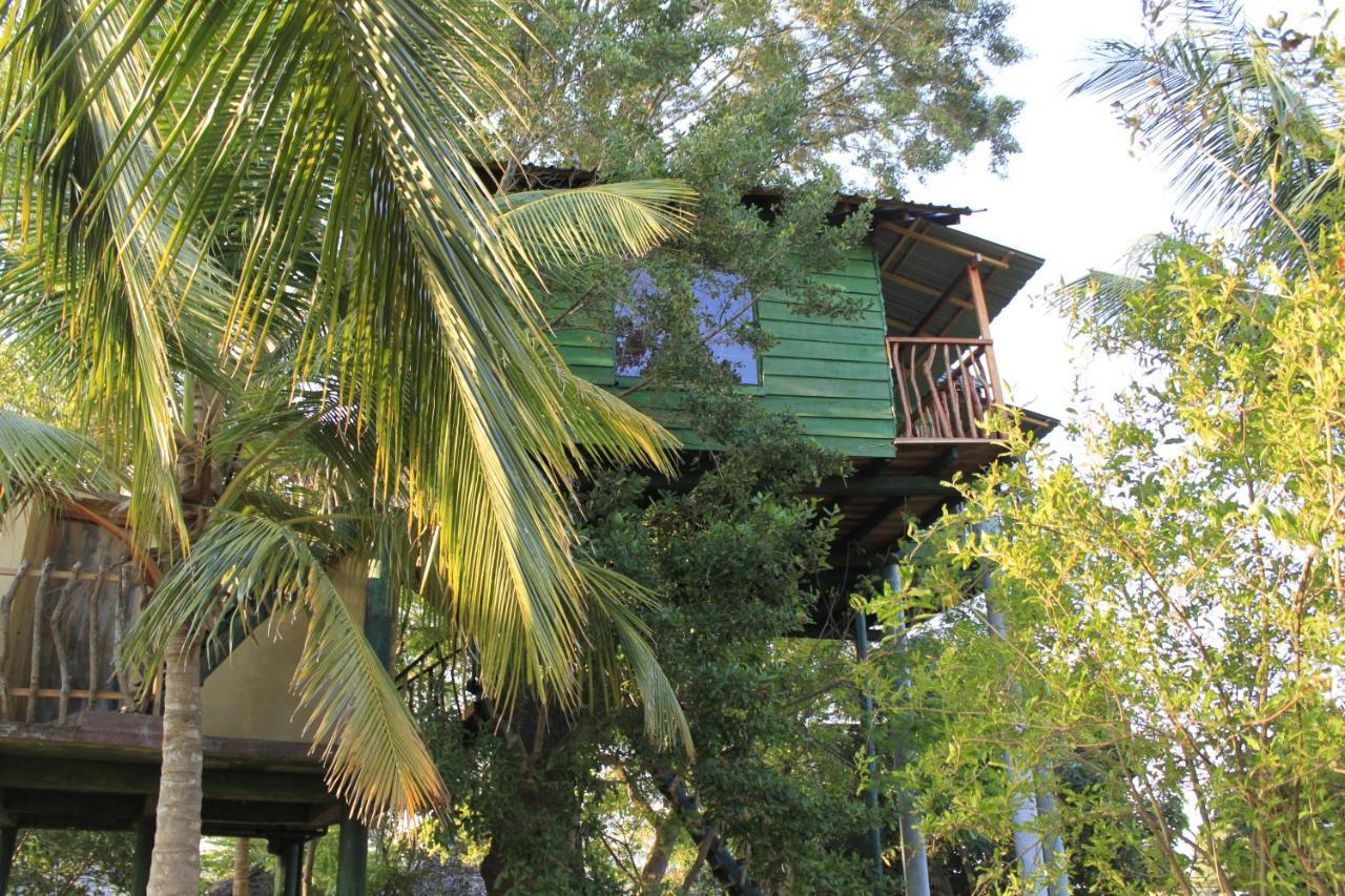 فندق Yala Eco Tree House New تيساماهاراما المظهر الخارجي الصورة