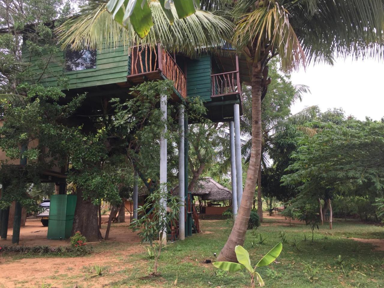 فندق Yala Eco Tree House New تيساماهاراما المظهر الخارجي الصورة