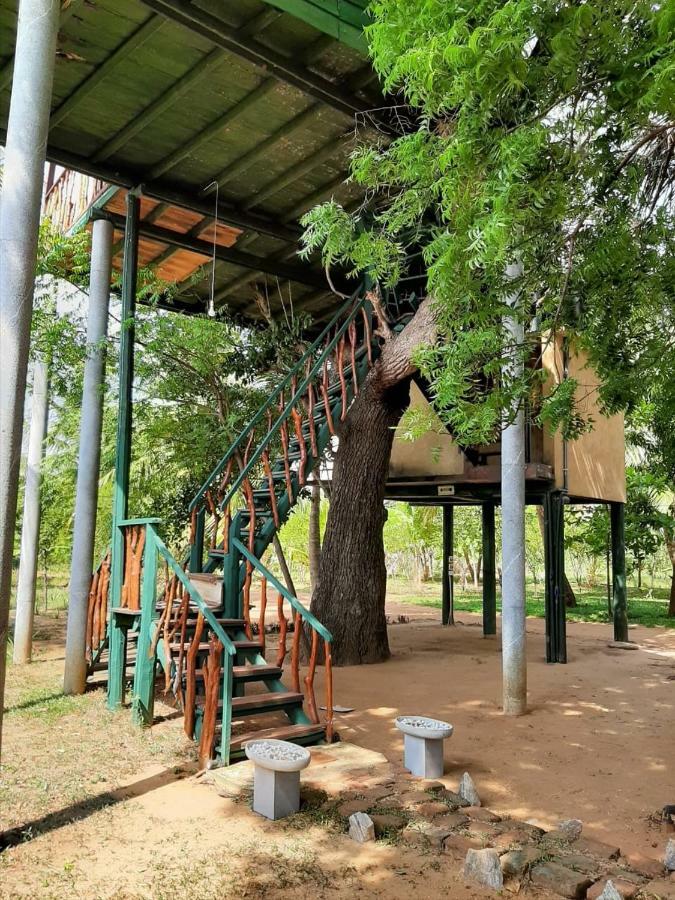 فندق Yala Eco Tree House New تيساماهاراما المظهر الخارجي الصورة