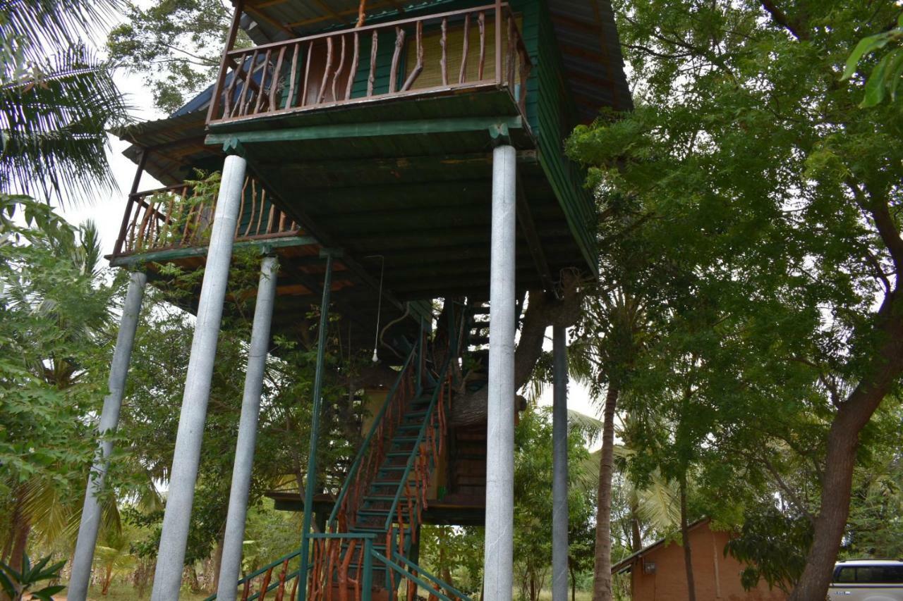 فندق Yala Eco Tree House New تيساماهاراما المظهر الخارجي الصورة